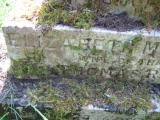 image of grave number 443583